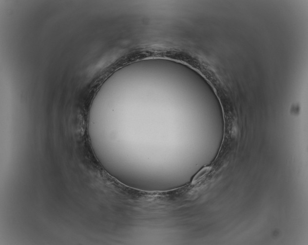 X0000091061253200708201337