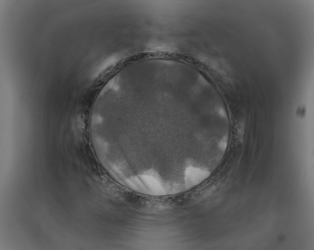 X0000091061254200708201337