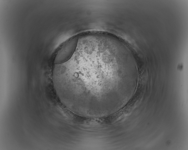 X0000091061255200708201337