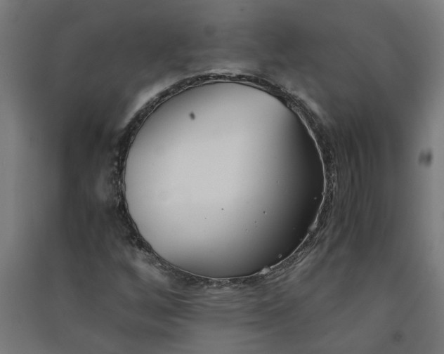 X0000091061256200708201337