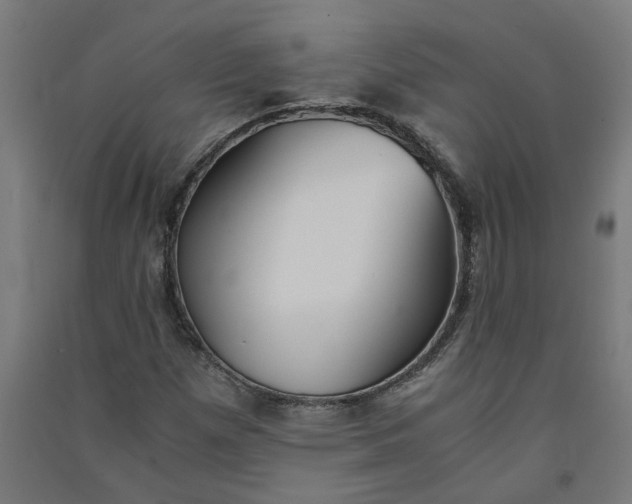 X0000091061257200708201337