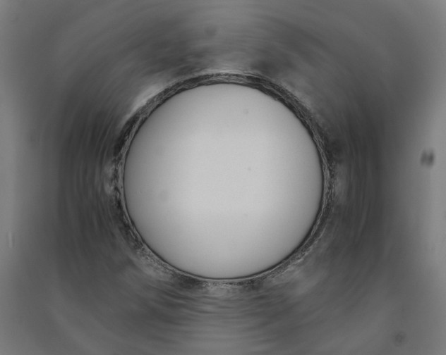 X0000091061258200708201337