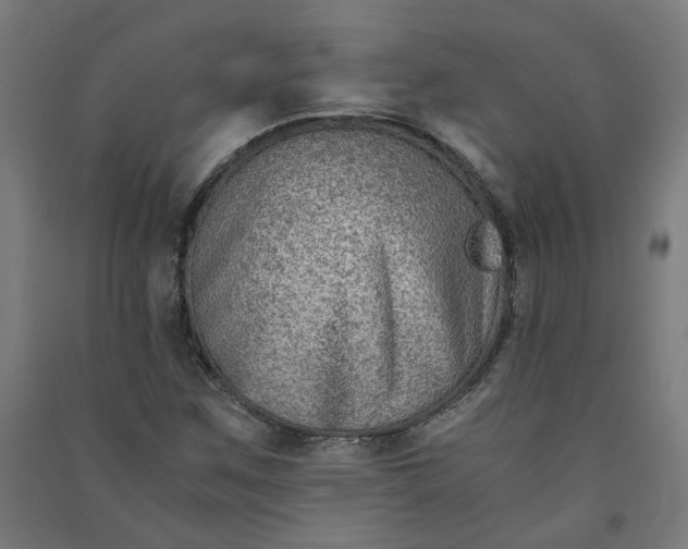 X0000091061259200708201337