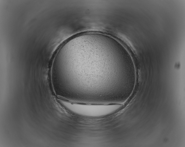 X0000091061260200708201337