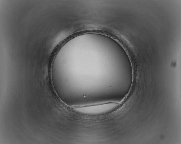 X0000091061261200708201337