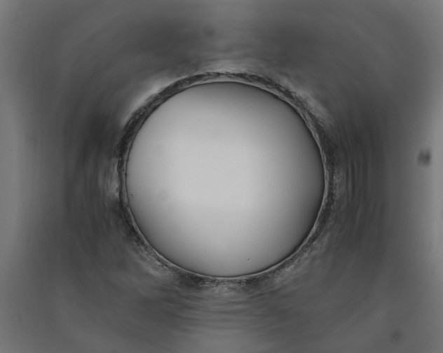 X0000091061262200708201337