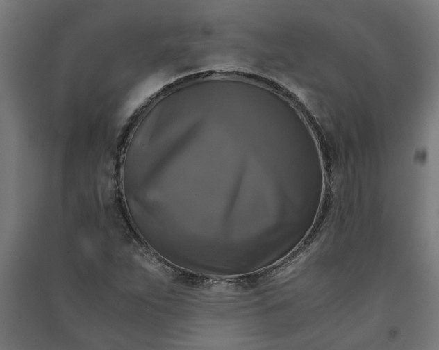 X0000091061263200708201337