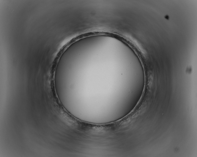X0000091061264200708201337