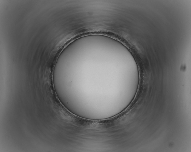 X0000091061265200708201337