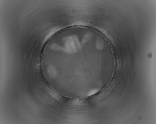 X0000091061266200708201337