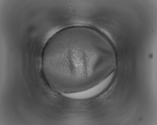 X0000091061267200708201337
