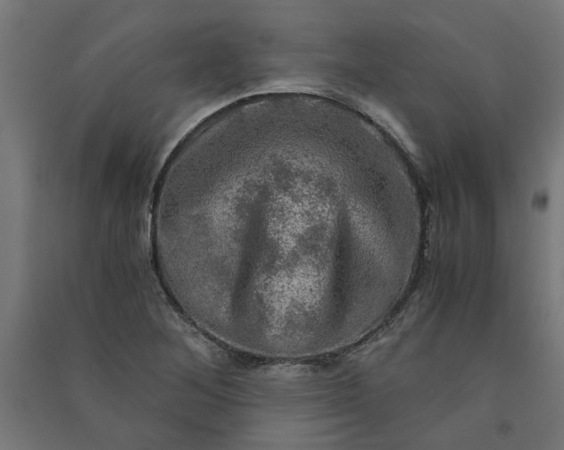 X0000091061268200708201337