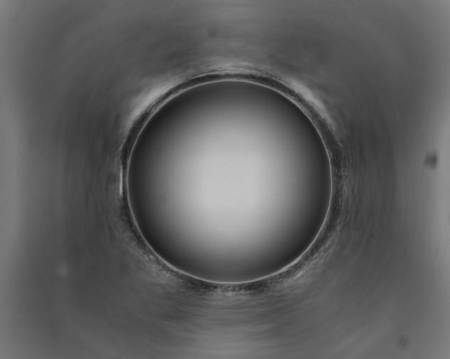 X0000091061269200708201337