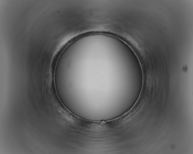 X0000091061270200708201337
