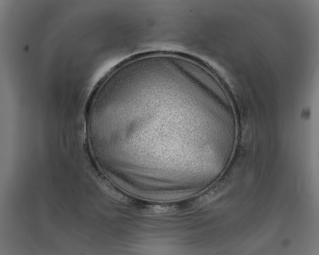 X0000091061271200708201337