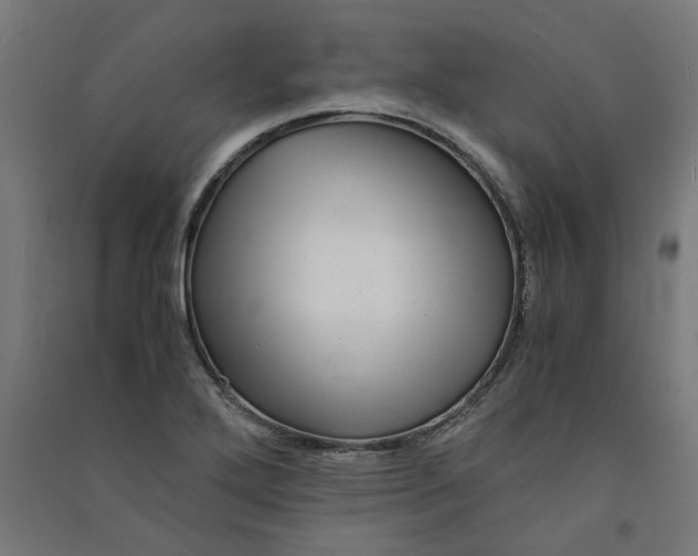 X0000091061272200708201337