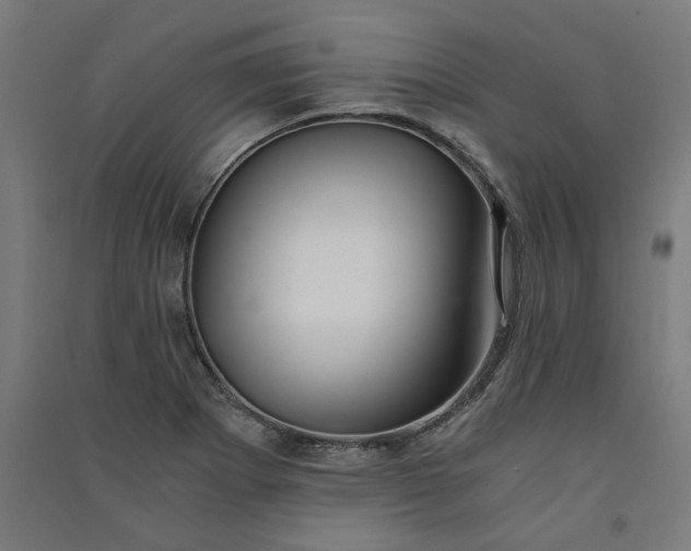 X0000091061273200708201337