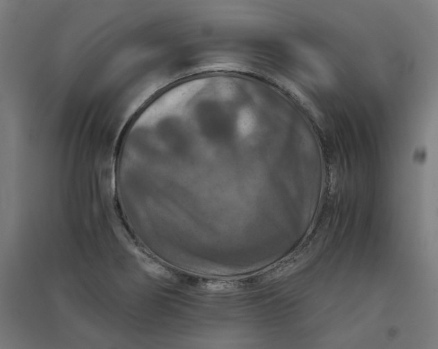 X0000091061274200708201337
