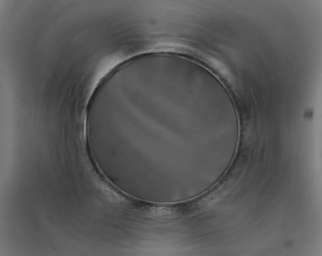 X0000091061275200708201337