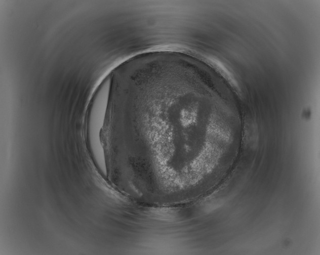 X0000091061276200708201337