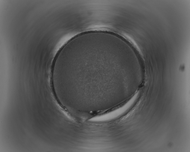 X0000091061277200708201337