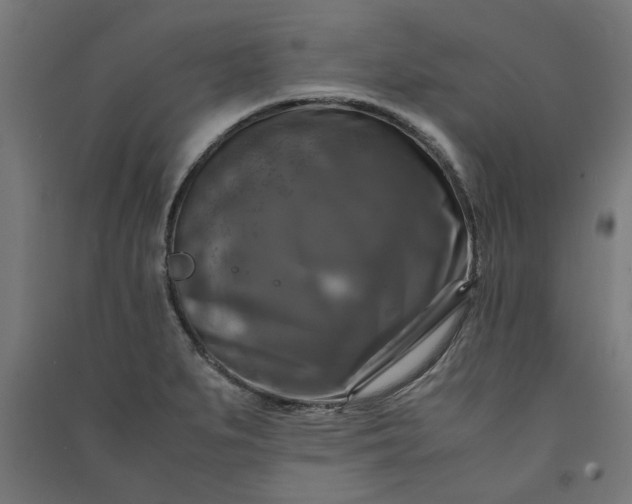 X0000091061279200708201337
