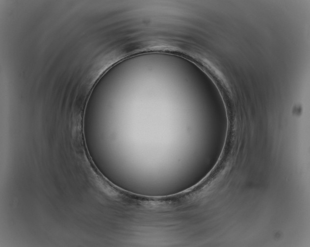 X0000091061281200708201337