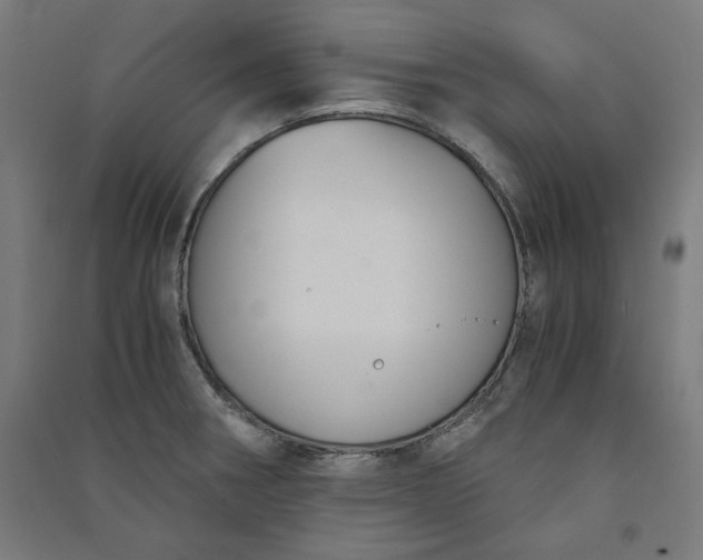 X0000091061282200708201337