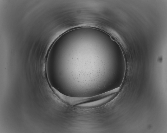 X0000091061284200708201337