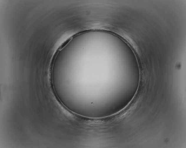 X0000091061285200708201337
