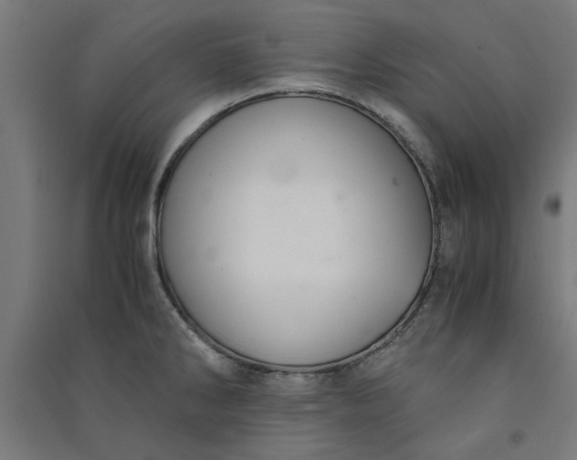 X0000091061286200708201337