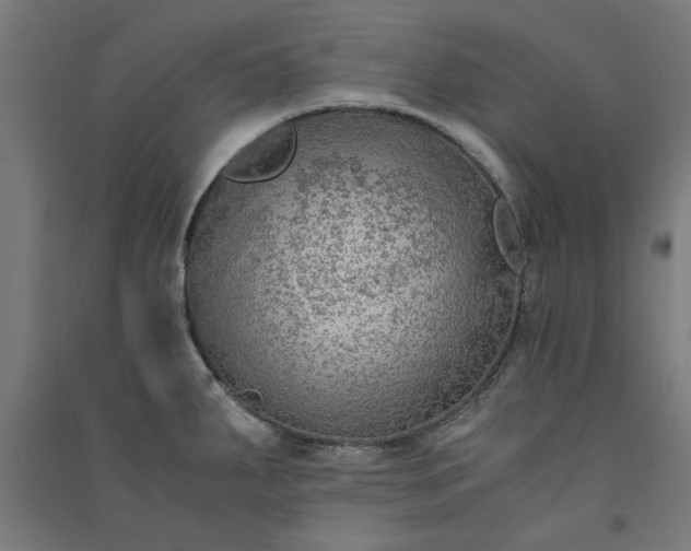 X0000091061287200708201336