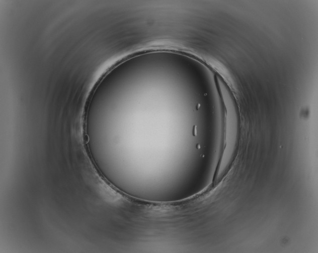 X0000091061288200708201336