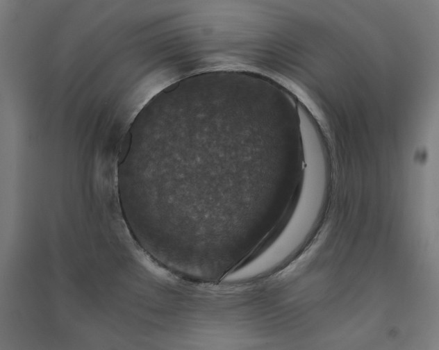 X0000091061289200708201336