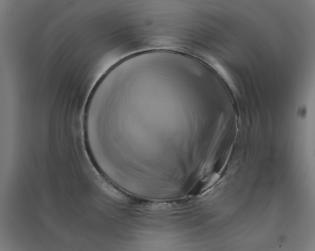 X0000091061291200708201336