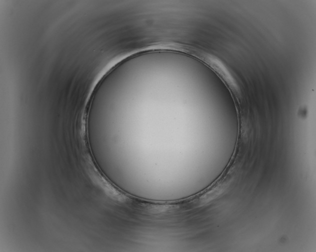 X0000091061292200708201336