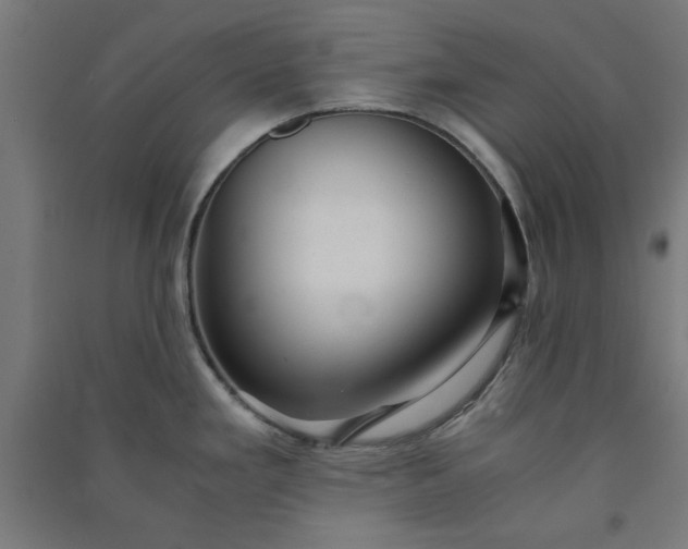 X0000091061293200708201336