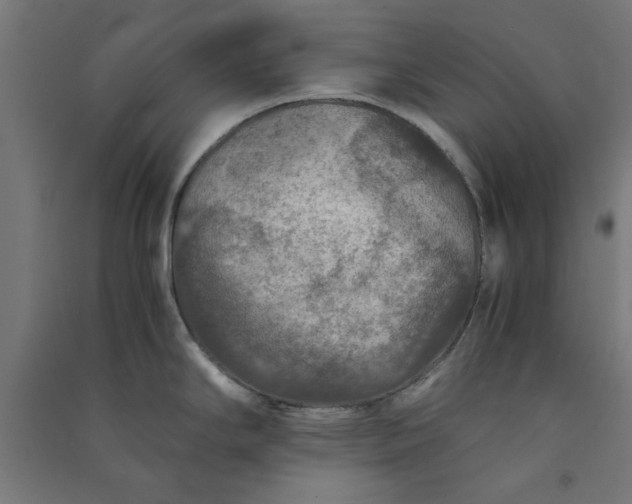 X0000091061294200708201336