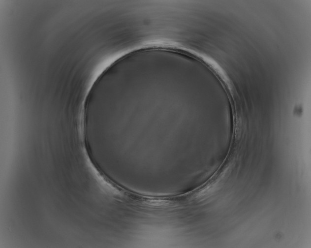 X0000091061295200708201336