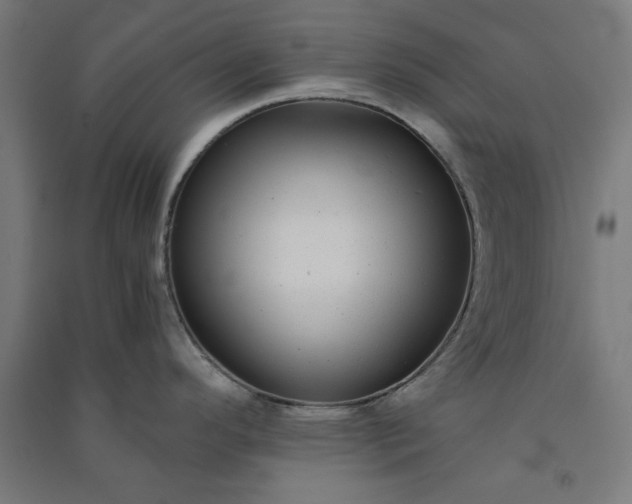 X0000091061296200708201336
