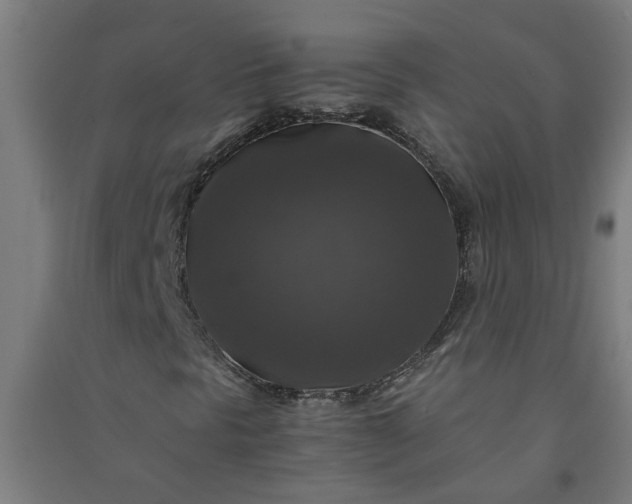 X0000091061297200708201336