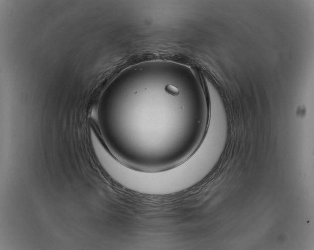 X0000091061298200708201336