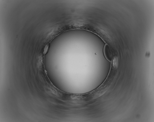 X0000091061299200708201336