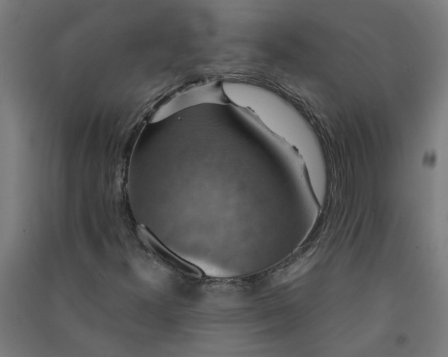 X0000091061300200708201336