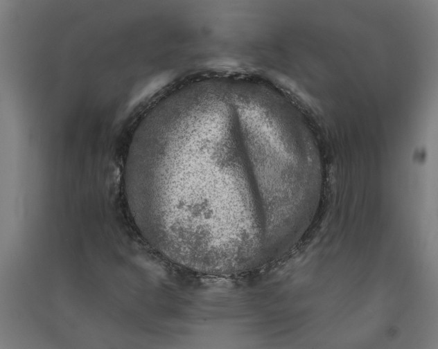 X0000091061302200708201336