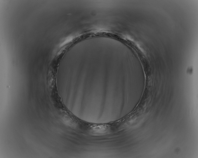 X0000091061303200708201336