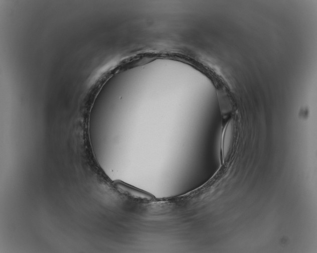 X0000091061304200708201336
