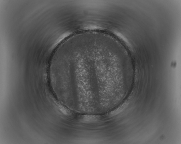 X0000091061305200708201336