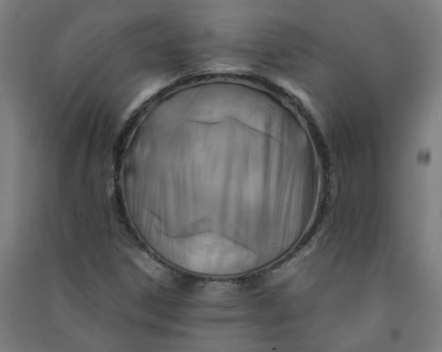 X0000091061306200708201336