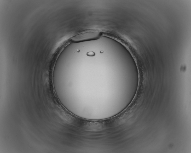 X0000091061307200708201336
